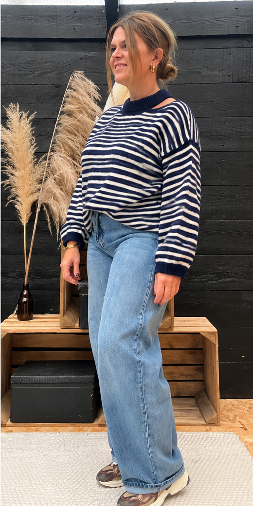 Trui Elodie blauw