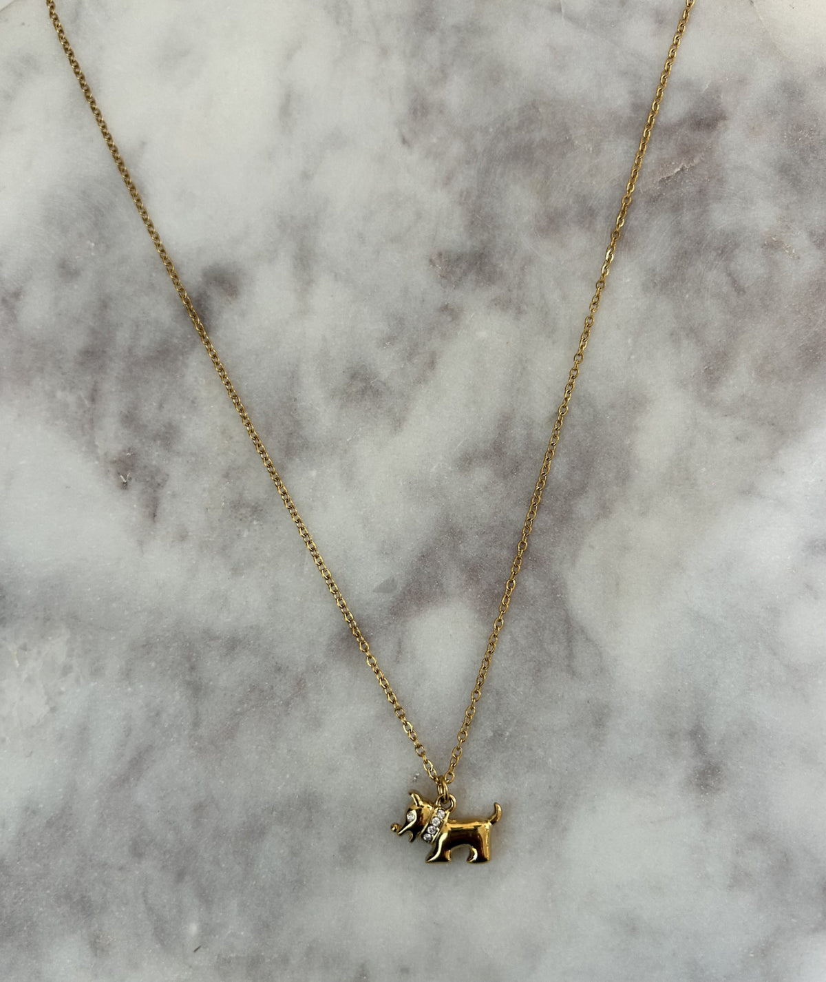 Ketting Doggie 🐶